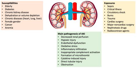 sex aki|Acute kidney injury is more common in men than women after。